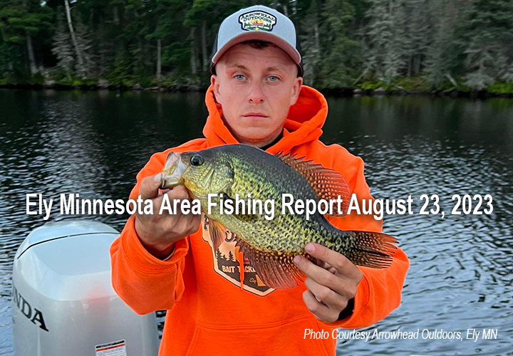 image links to fishing report from the Ely Minnesota region