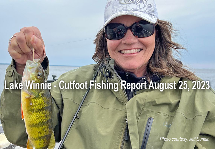 image links to fishing report from Lake Winnibigoshish