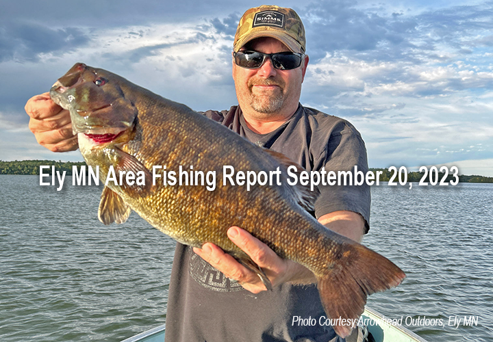 image links to fishing report from the ely minnesota region