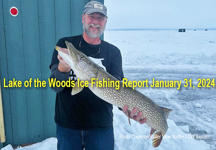 image links to ice fishing report from Lake of the Woods