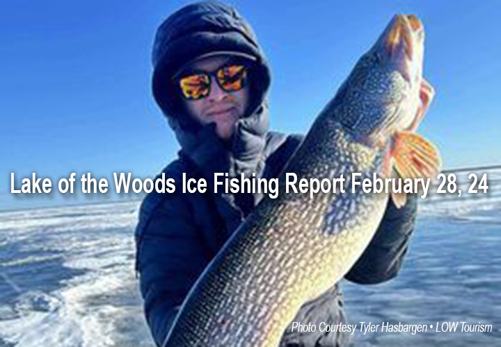 image links to ice fishing report from Lake of the Woods