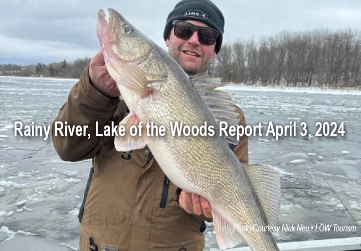 image links to fishing report from Lake of the Woods and the Rainy River