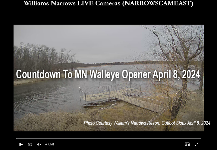 image links to report about water levels and walleye spawing conditions in north central minnesota