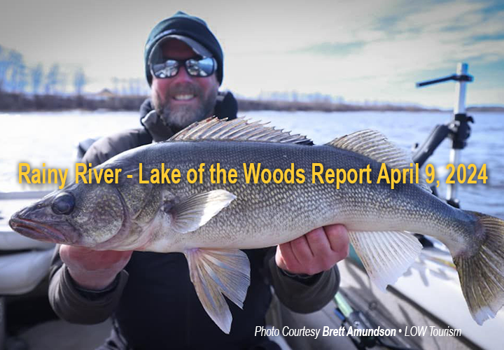 image of Brett Amundson with big Rainy River Walleye links to fishing report