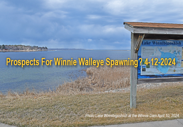 image of Lake Winnie links to article about walleye spawing on Lake Winnibigoshish