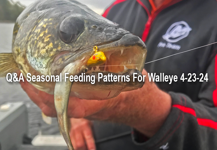 image links to fishing article by Jeff Sundin about feeding preferences for walleyes