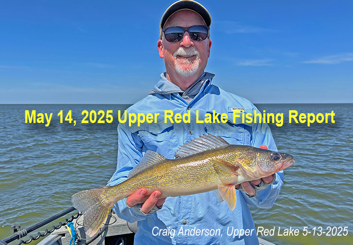 image links to walleye fishing report from Upper Red Lake