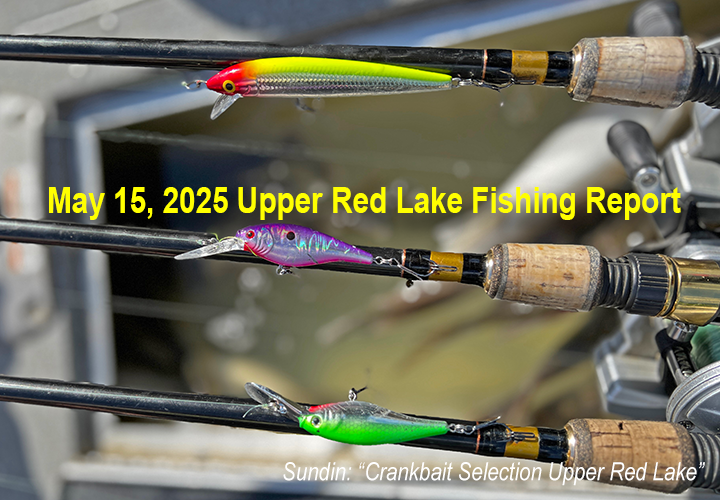 image links to fishing report from Upper Red Lake