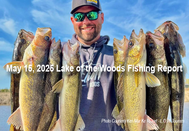 image links to fishing report from Lake of the Woods