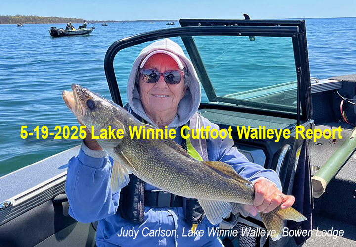 image of Judy Carlson links to walleye fishing report from Lake Winnie and Cutfoot Sioux