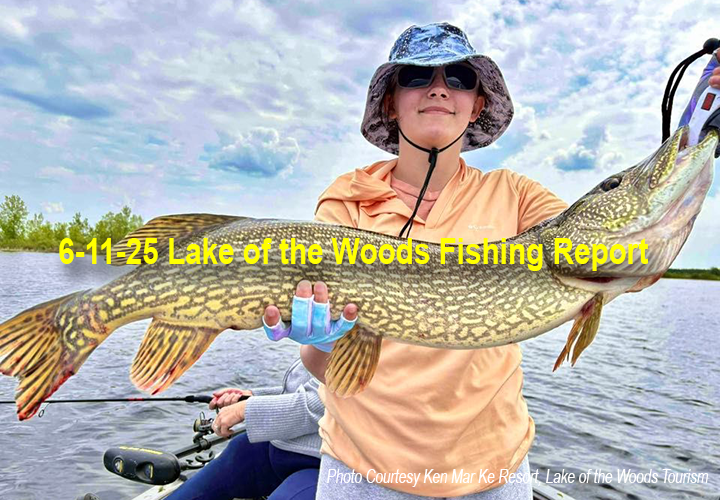 image links to fishing report from Lake of the Woods