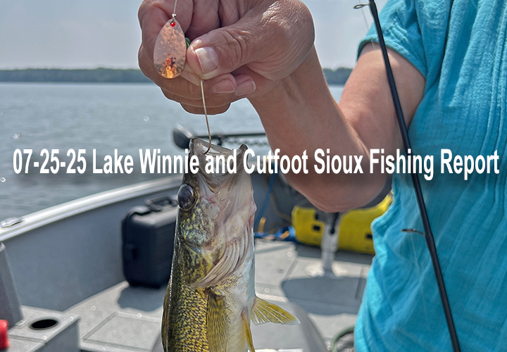 image links to fishing report from Lake Winnie and Cutfoot Sioux