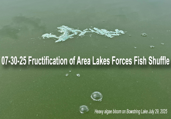 image links to fishing update by Jeff Sundin 