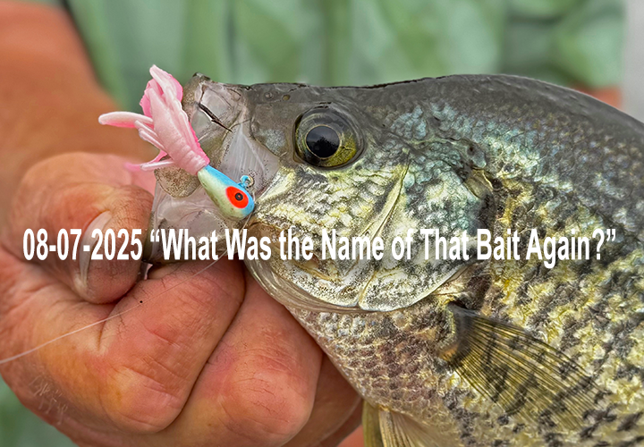 image links to crappie fishing report by Jeff Sundin 