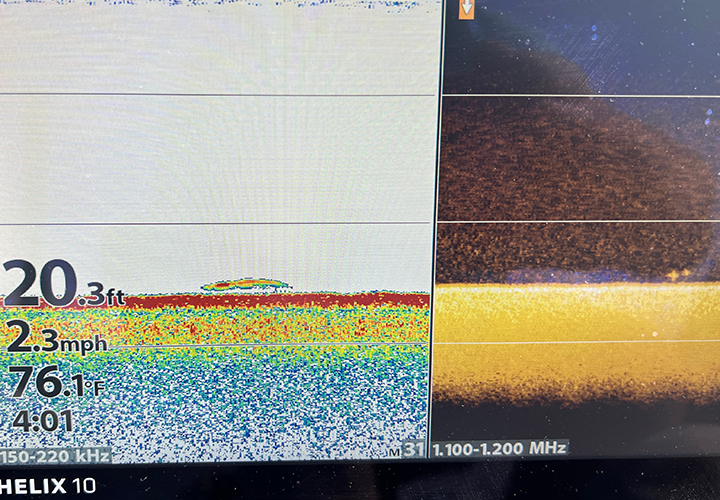 image of walleye shown on Jeff Sundi's  humminbird graph screen