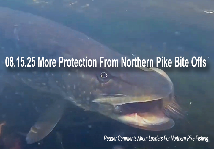 image links to Fish Rapper reader comments about northern pike fishing leaders