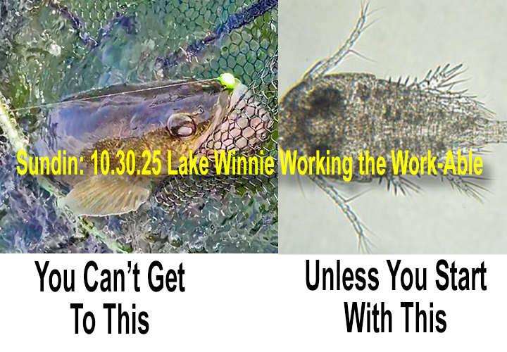 image links to fishing report about the Lake Winnie Workgroup