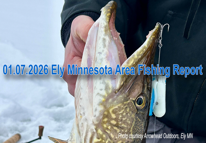 image links to ice fishing report from Ely Minnesota