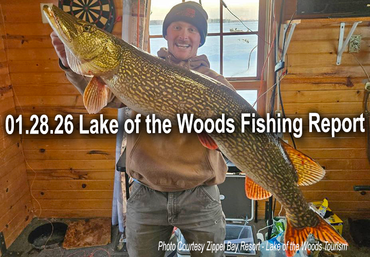 Image links to ice fishing report from Lake of the Woods