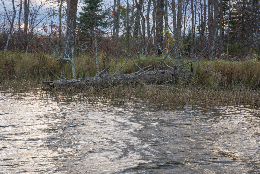 image of the Crappie Hole