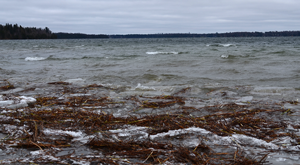 image of open water on deer lake