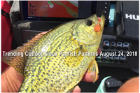 image links to cutfoot sioux fishing report