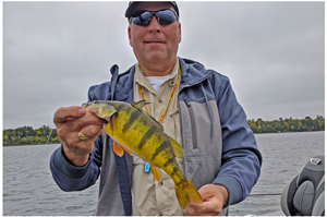 image of leech lake perch