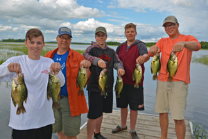 image of the musgjerds with nice crappies