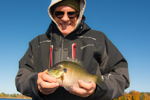 image of giant bluegill