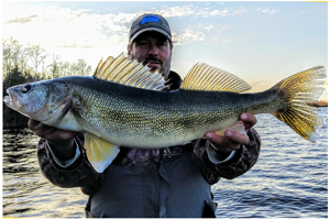 image of gian rainy river walleye