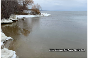 image of upper red lake at Morts Dock