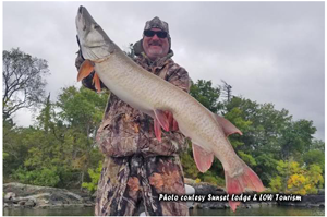 image of huge muskie caught on lake of the woods