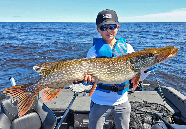 image of young angler holding huge walleye he caught on lake of the woods