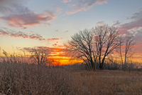 image of sunrise in the deer stand