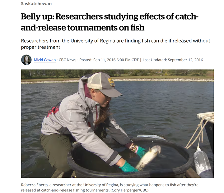 image links to fisheries research paper Belly UP: Researchers Studying Effects of Catch and Release Tournaments on Fish