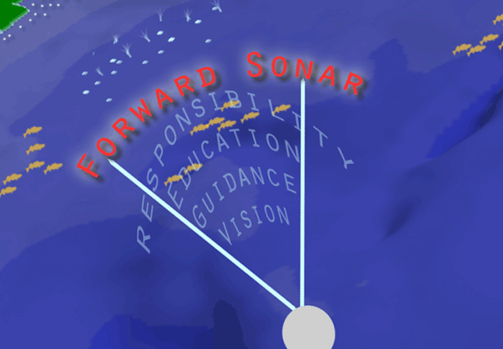 image depicting forward facing, live sonar