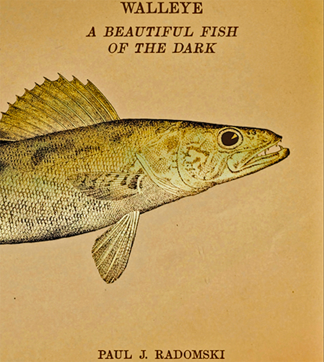 image of the book Walleye: A Beautiful Fish of the Dark by Paul Radomski