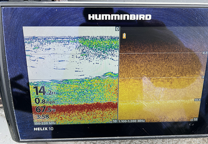 image of fries pondweed on humminbird graph