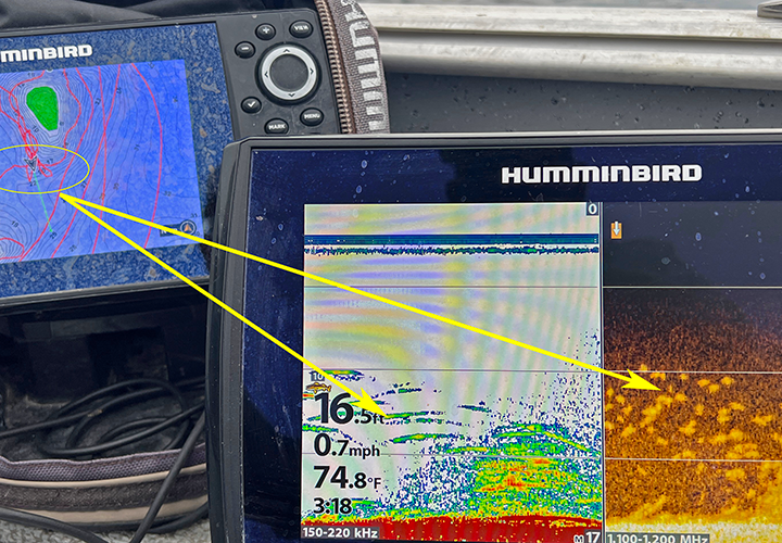 image of crappies on the screen of Jeff Sundin's Humminbird graph