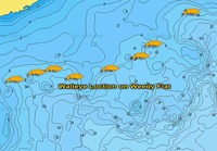 image links to fishing report by Jeff Sundin 