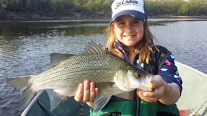 image of Mae Edlund with huge White Bass