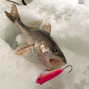 Ice Fishing Reports Fishrapper February 2020 Archive