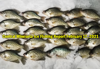 image links to central minnesota ice fishing report by shane boeshart