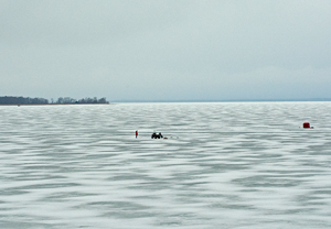 image of ice anglers on Tamarack Bay, Lake Winnibigoshish