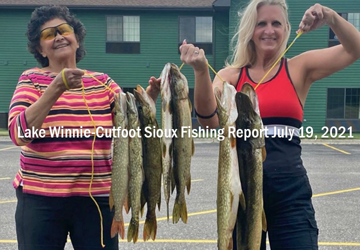 image links to lake winnie and cutfoot sioux fishing report