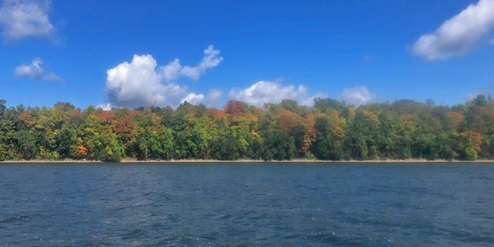 image of fall colors on the north shore of Lake Winnie