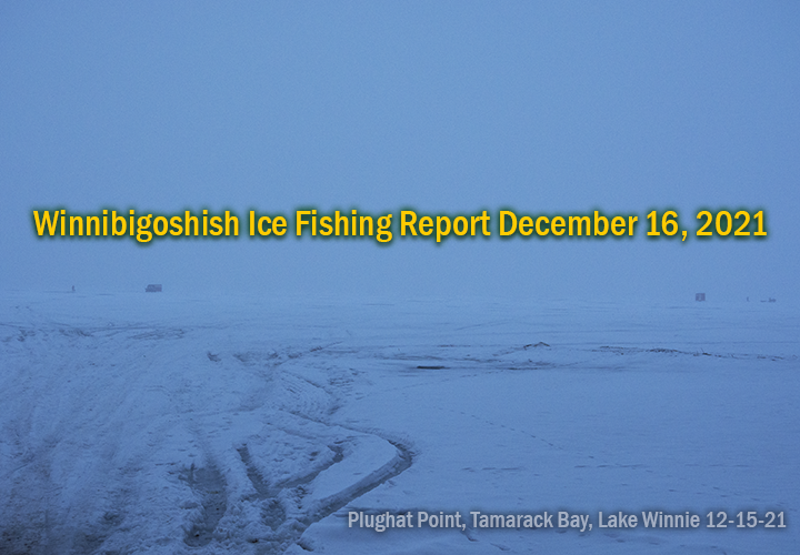 image links to ice fishing report from Lake Winnie