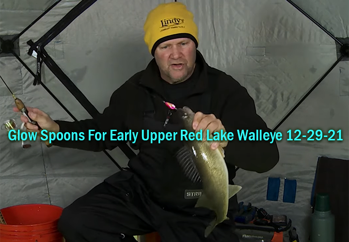 image links to video about catching walleye on upper red lake