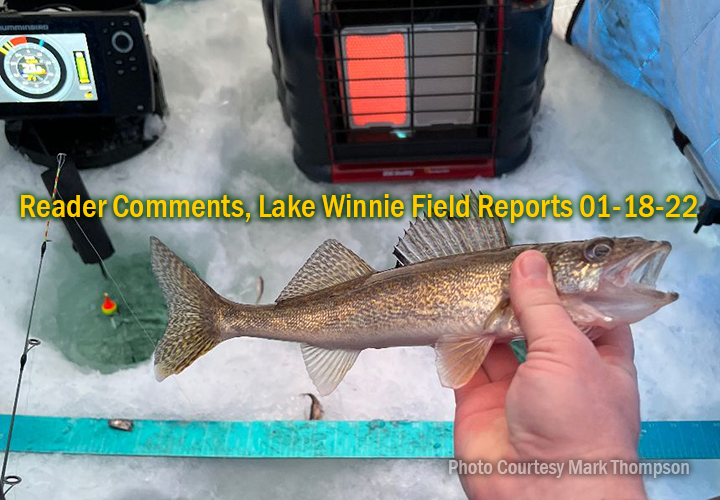 image links to Lake Winnie Walleye fishing report