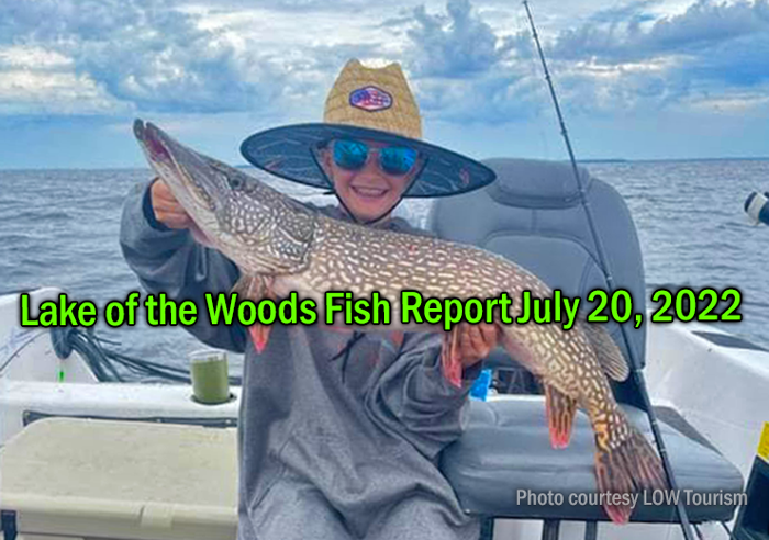 image links to fishing report from Lake of the Woods
